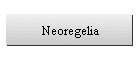 Neoregelia